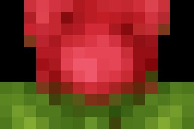 CHÀO MỪNG QUỐC TẾ PHỤ NỮ 8/3